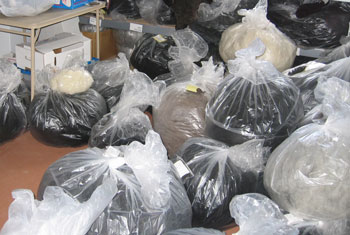 We’ve Got Wool!