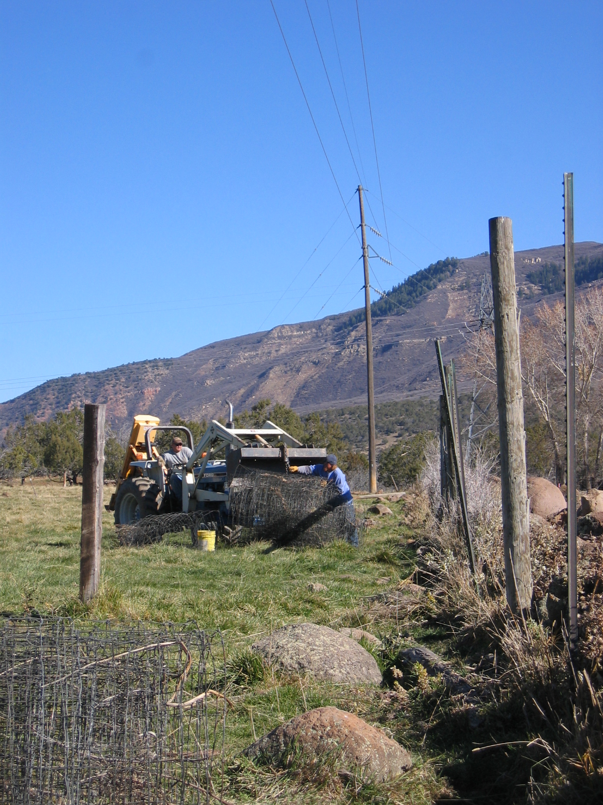 More Elk Fence