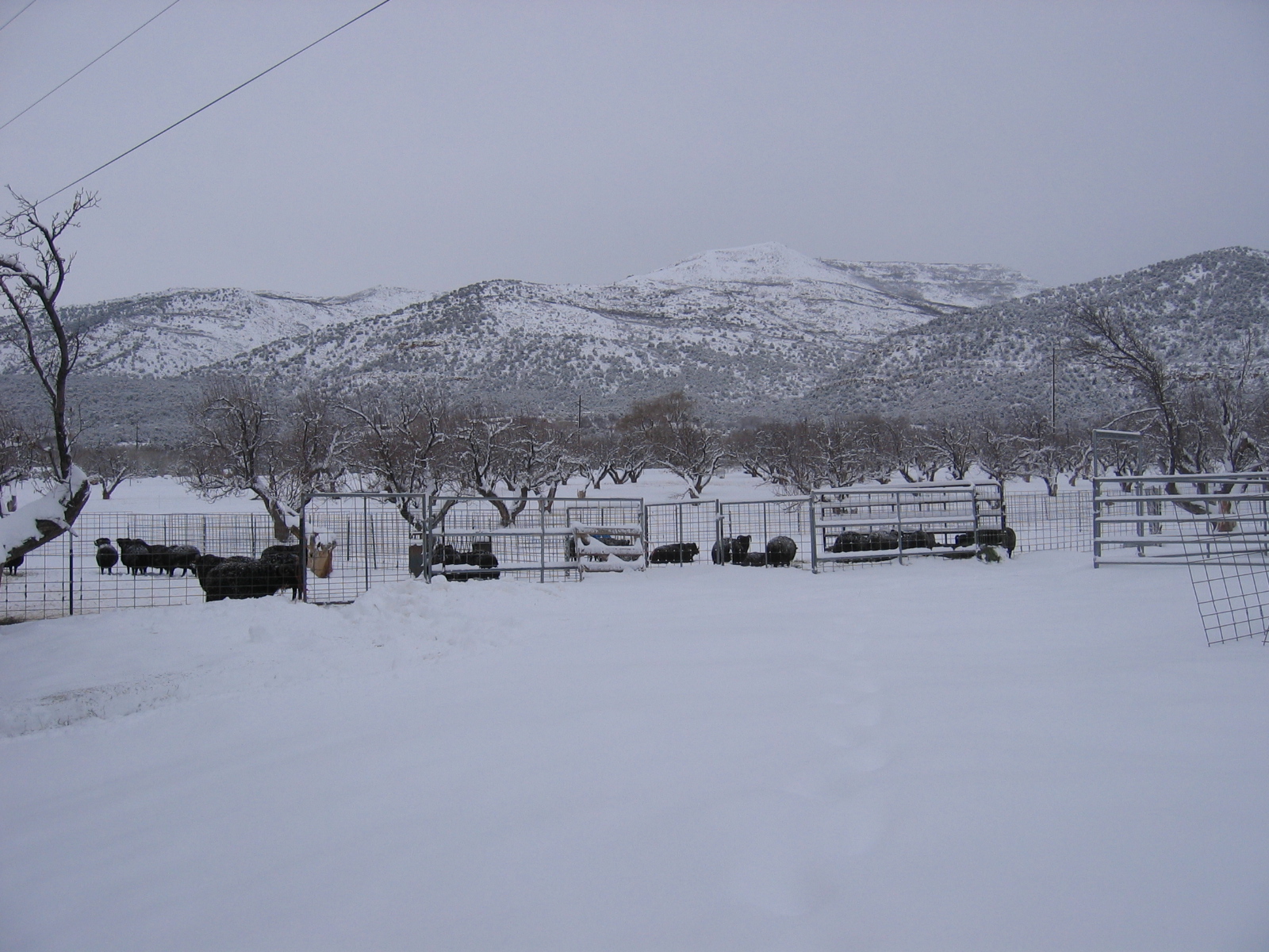 Winter Again