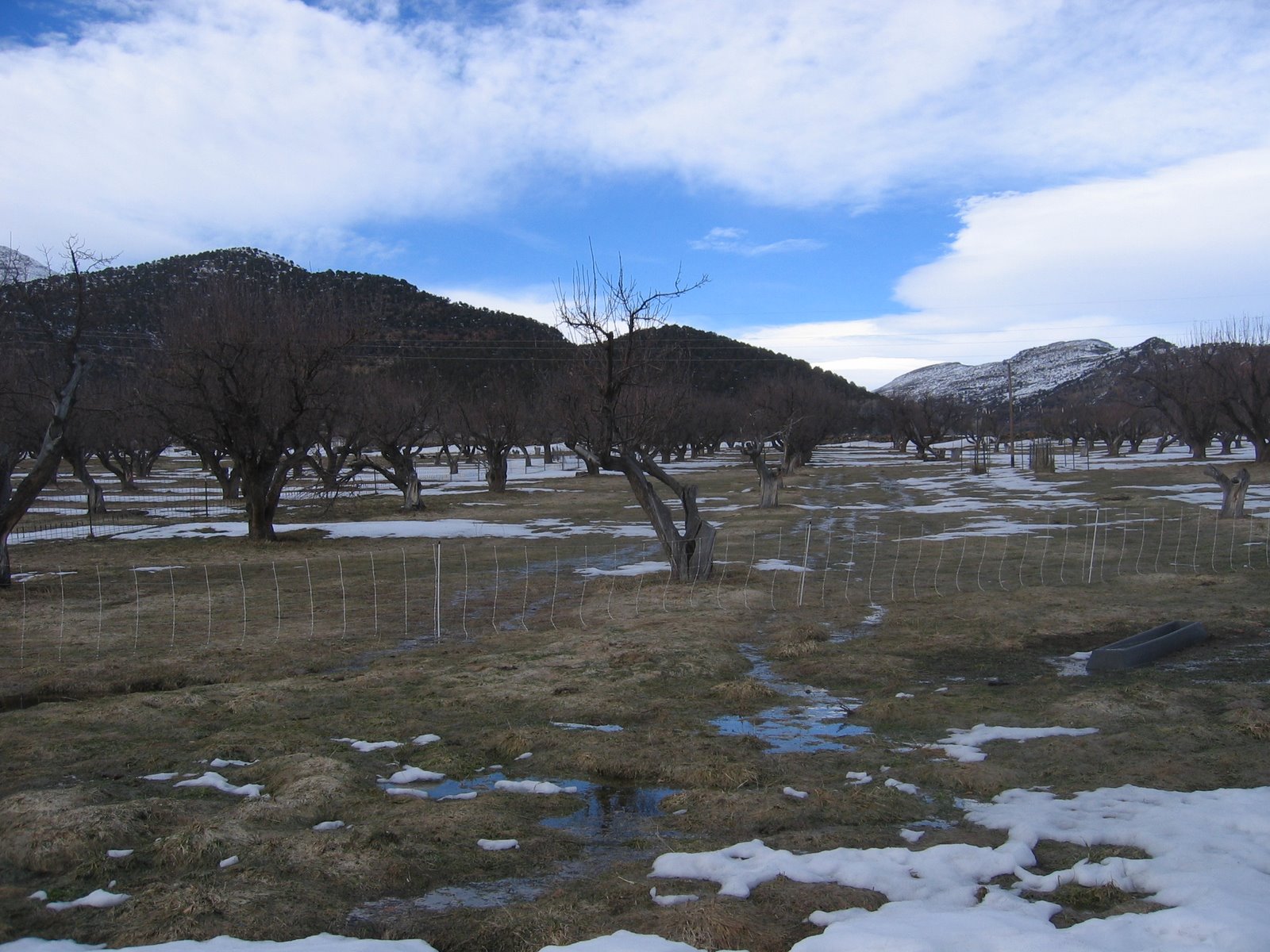The pasture was almost free of snow, and quite wet and muddy.
