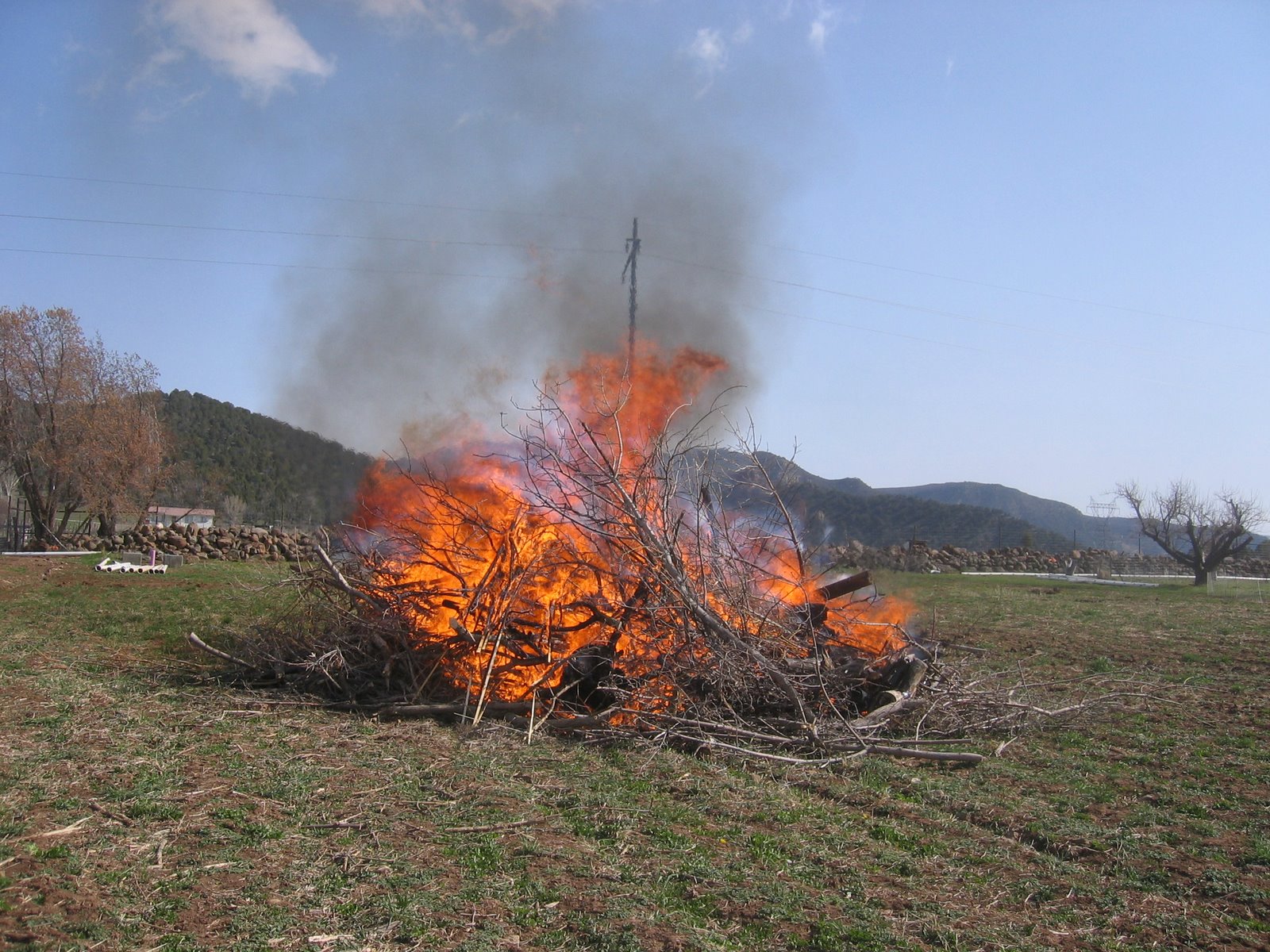 A large pile of brush burns in the middle of this pasture.