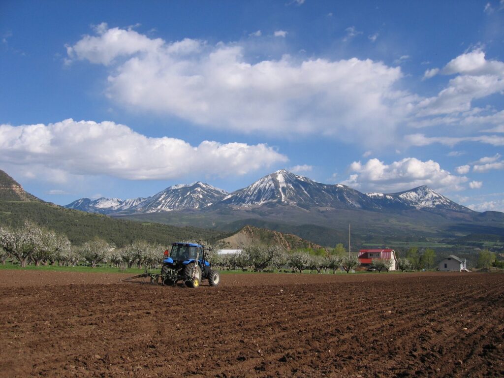 The field is being prepared for new pasture.