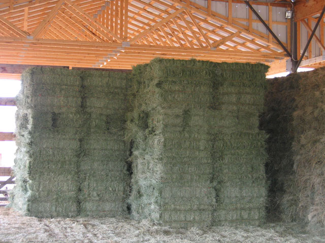The first few bales of hay are loaded into the barn.