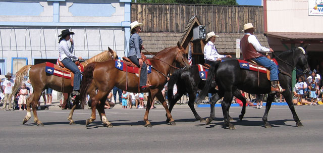 A group of horses from the North Fork Horse Patrol walks through the parade.
