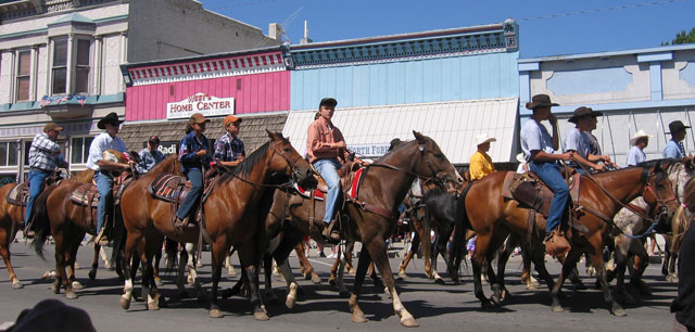 A group of horses from the North Fork Horse Patrol walks through the parade.