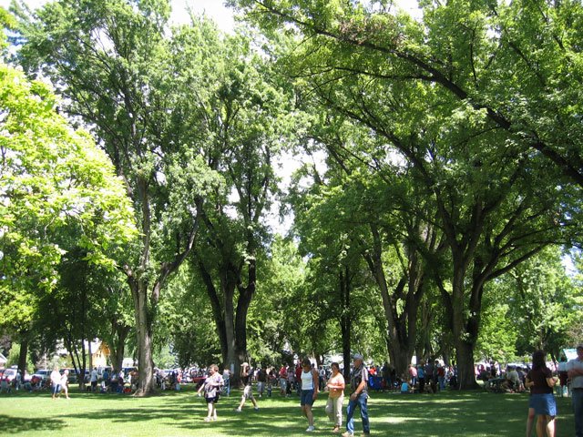 The parade has concluded, and the townspeople are gathering in the park for more festivities.