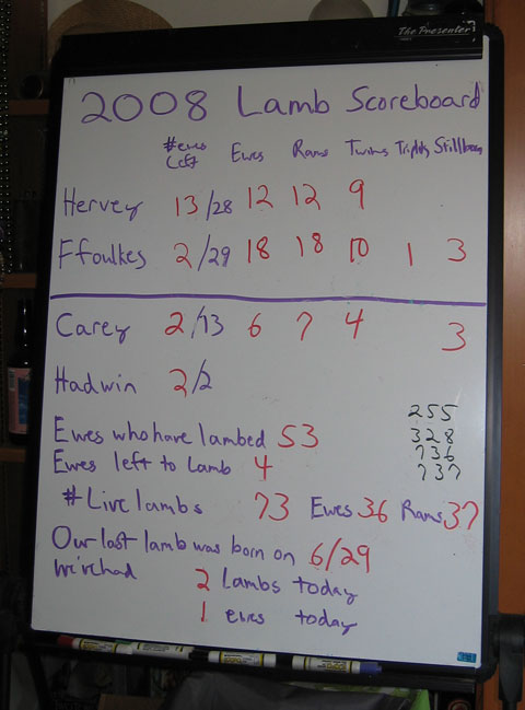 A white board illustrates the lambing statistics for 2008 at the Desert Weyr Farm.