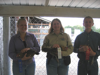 Oogie and the Hellecksons show chickens together in the open class of the Delta County Fair.