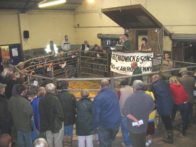 This is the ring where the auctions take place.