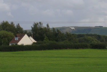 A white house is visible between trees and rows of hedges.
