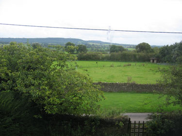 A view into the pasture behind the house.