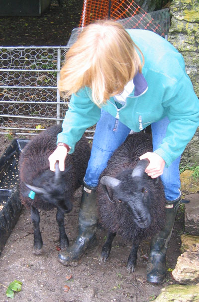 A woman handles two rams by the horns. 