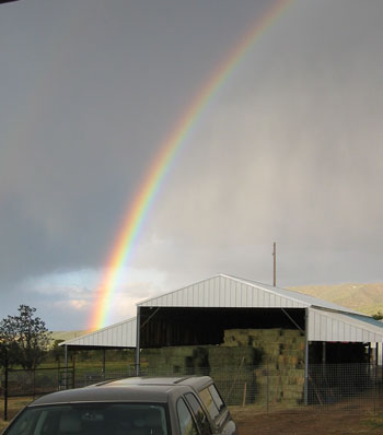 A pretty rainbow has appeared over the farm. 