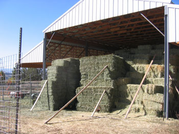 The barn is full to the brim with fresh, green hay. 