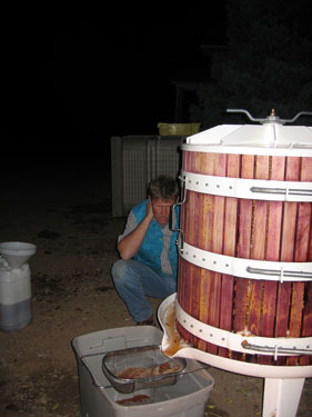 Fresh cider is flowing out of the press.