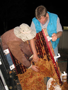 It's time to clean the crushed apple bits out of the wine press.