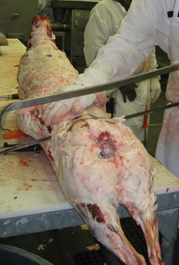 A worker cuts a sheep carcass in half.
