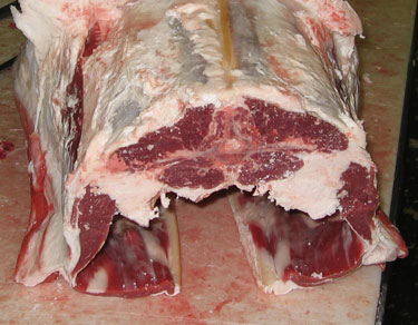 This cross section shows the loin of the sheep.