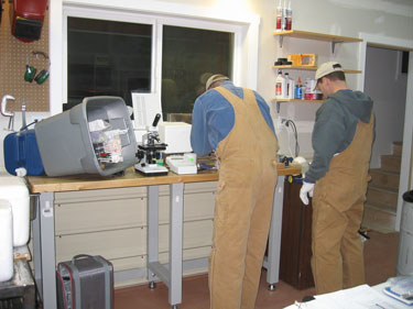 Specialists are working in the temporary laboratory.