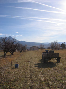 A tractor is sitting on standby in this pasture.