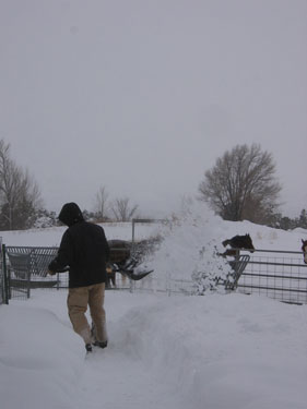Ken is shoveling snow to make room to get to the horse feeders.