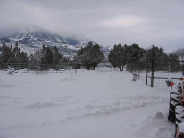 A picture of the driveway, well-covered in fresh snow. 