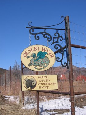A post at the corner of the pasture shows the new and improved Desert Weyr farm sign, with a Black Welsh Mountain Sheep sign below it.