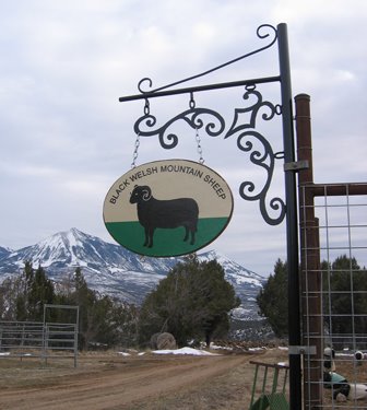 This sign shows the UK Black Welsh Mountain Sheep Association logo.