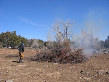 Brush and pruned branches are burning in a large pile. 