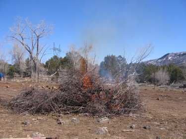 Brush and pruned branches are burning in a large pile. 