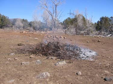 This pile of branches is mostly burned down already.