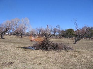 A pile of trimmed branches and brush is burning in this field. 