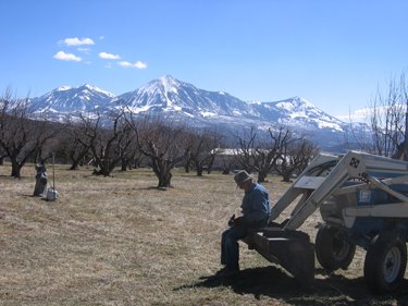 Larry is sitting on the bucket of his tractor, taking a break. 