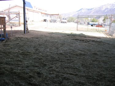 The hay barn floor is covered in loose hay.