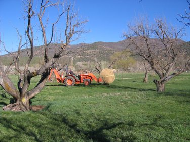 Ken carries a round bale using the front bucket on the tractor and a strap.