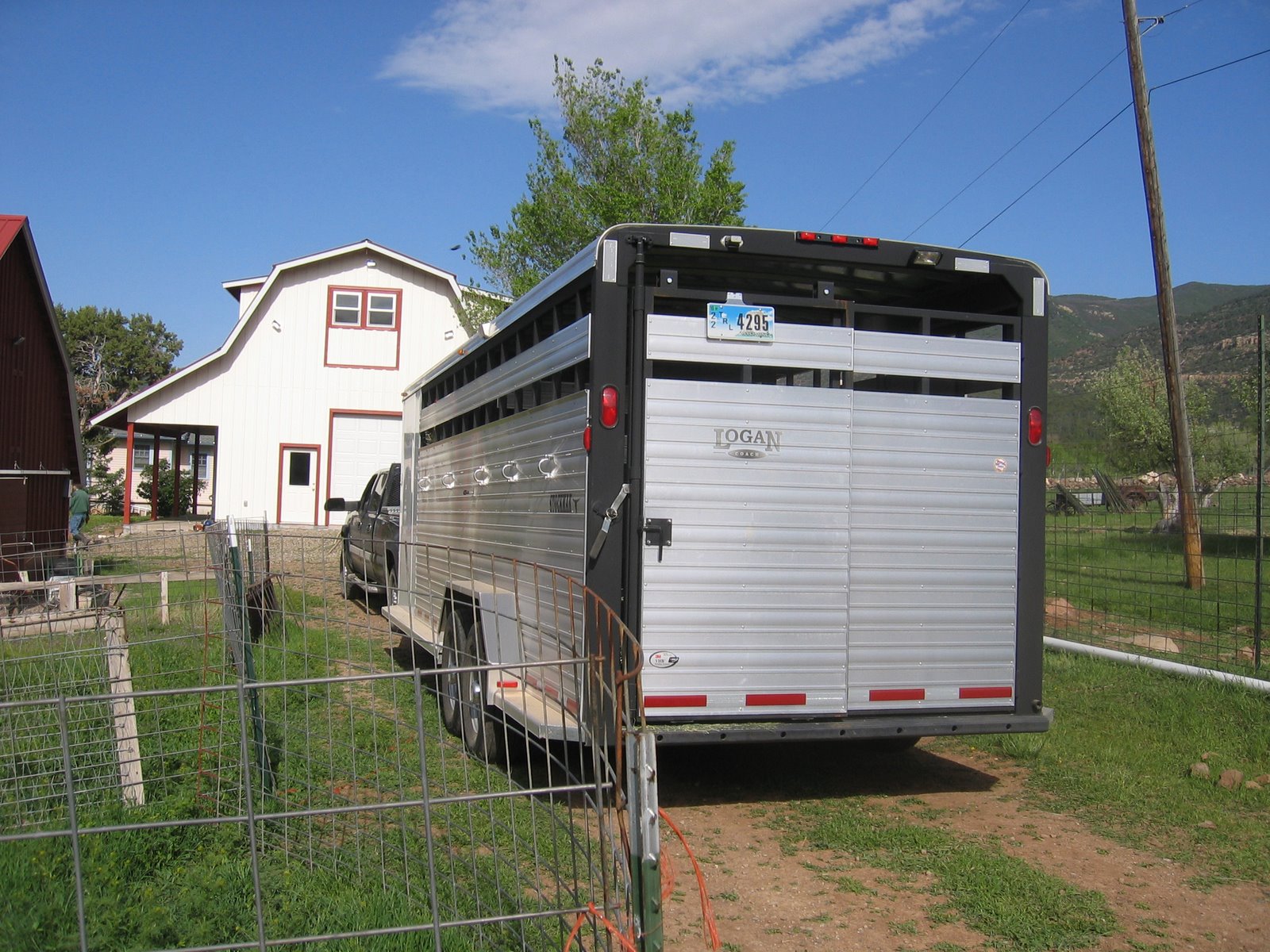 A large silver livestock trailer waits to be loaded with sheep.