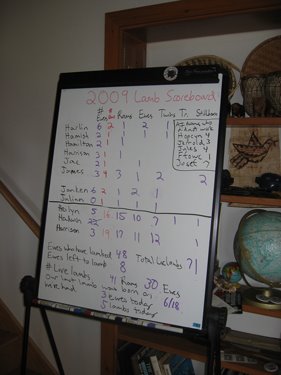This lamb scoreboard lists the rams and the lambs they successfully sired this year. 