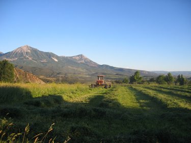 The hayfield is partially cut. 