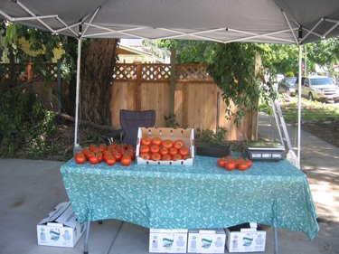 This vendor has some beautiful red tomatoes for sale.