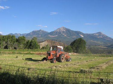 The hay baler and its driver are working hard to get all the hay baled.