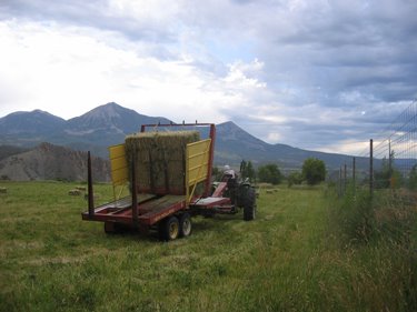 A tractor drives through the pasture, picking up hay along the way.