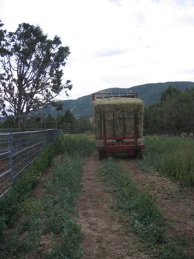 The trailer behind this tractor is fully loaded with hay.