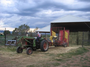 The hay is in the process of getting stacked in the barn.