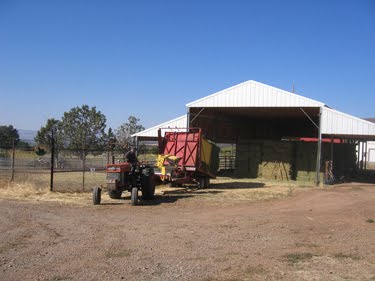Last Hay of the Year