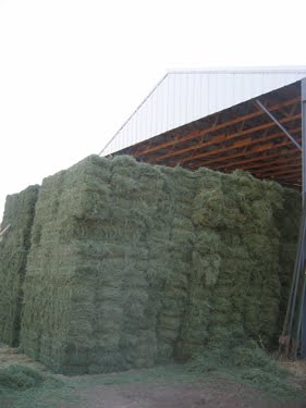 Bales upon bales of hay!