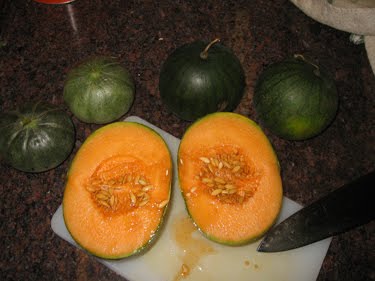 This melon looks ripe and delicious.