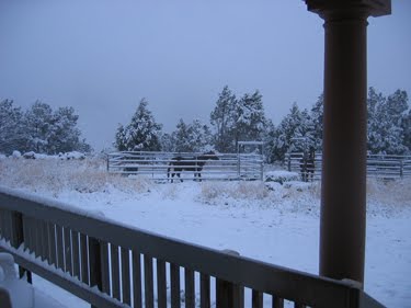 A very overcast, snowy day on the mesa.