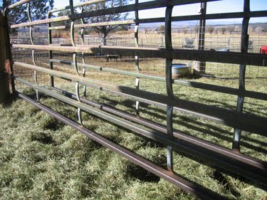 The new hay feeder has been completely picked over.