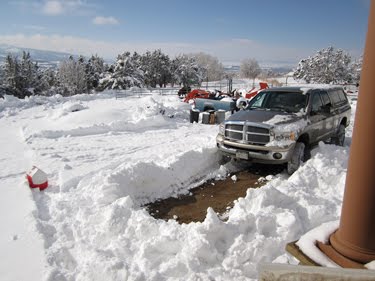 A heavy layer of fresh snow blankets the ground.