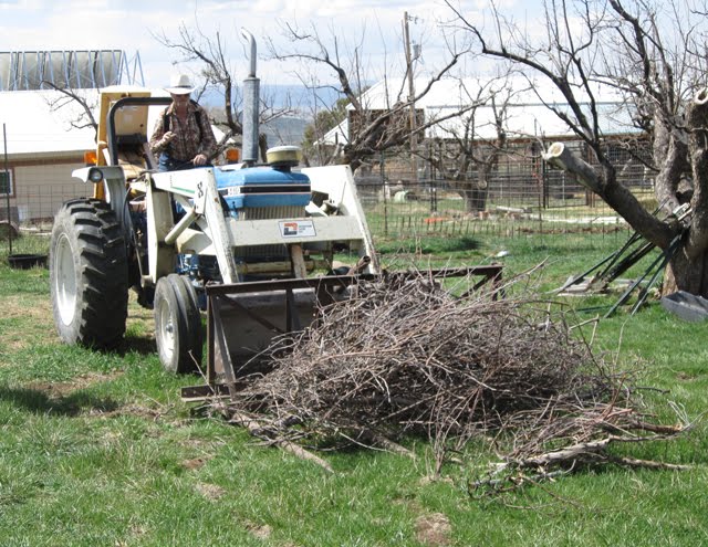 Larry pushes brush with the rake attachment. 